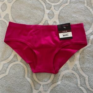 No Boundaries Pink Hipster Panties